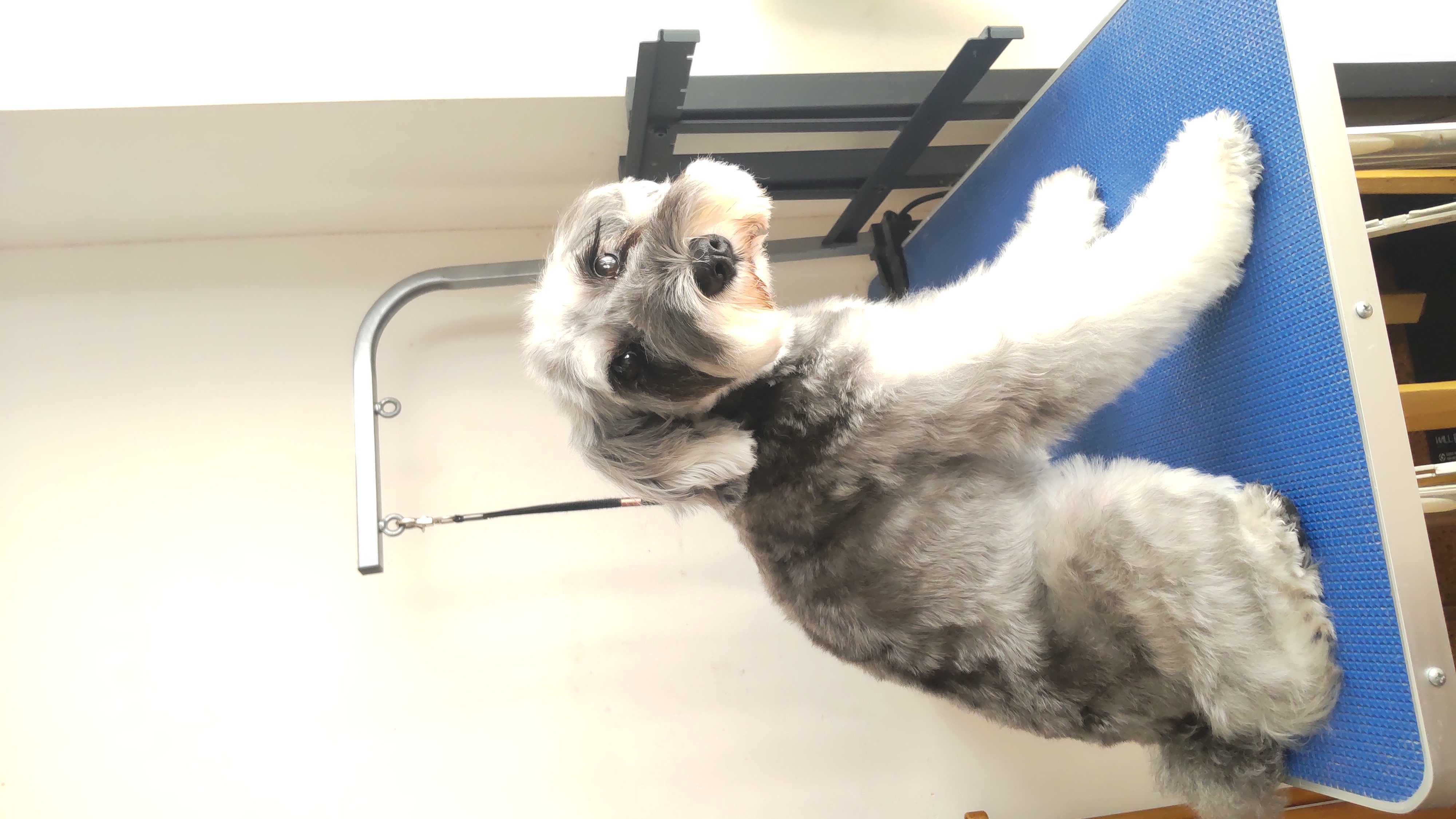 全身カットあり After 2