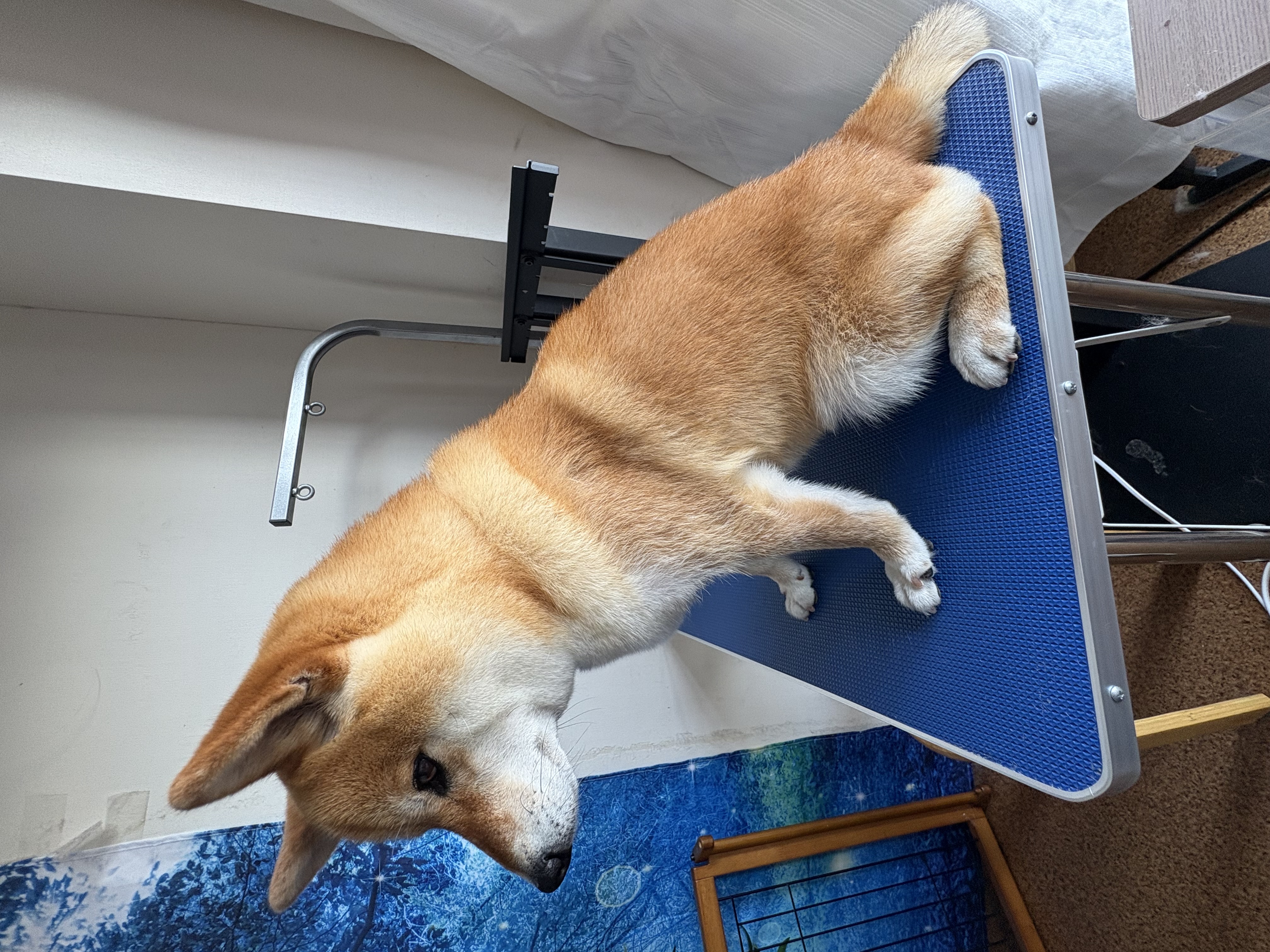 全身カットなし After 1