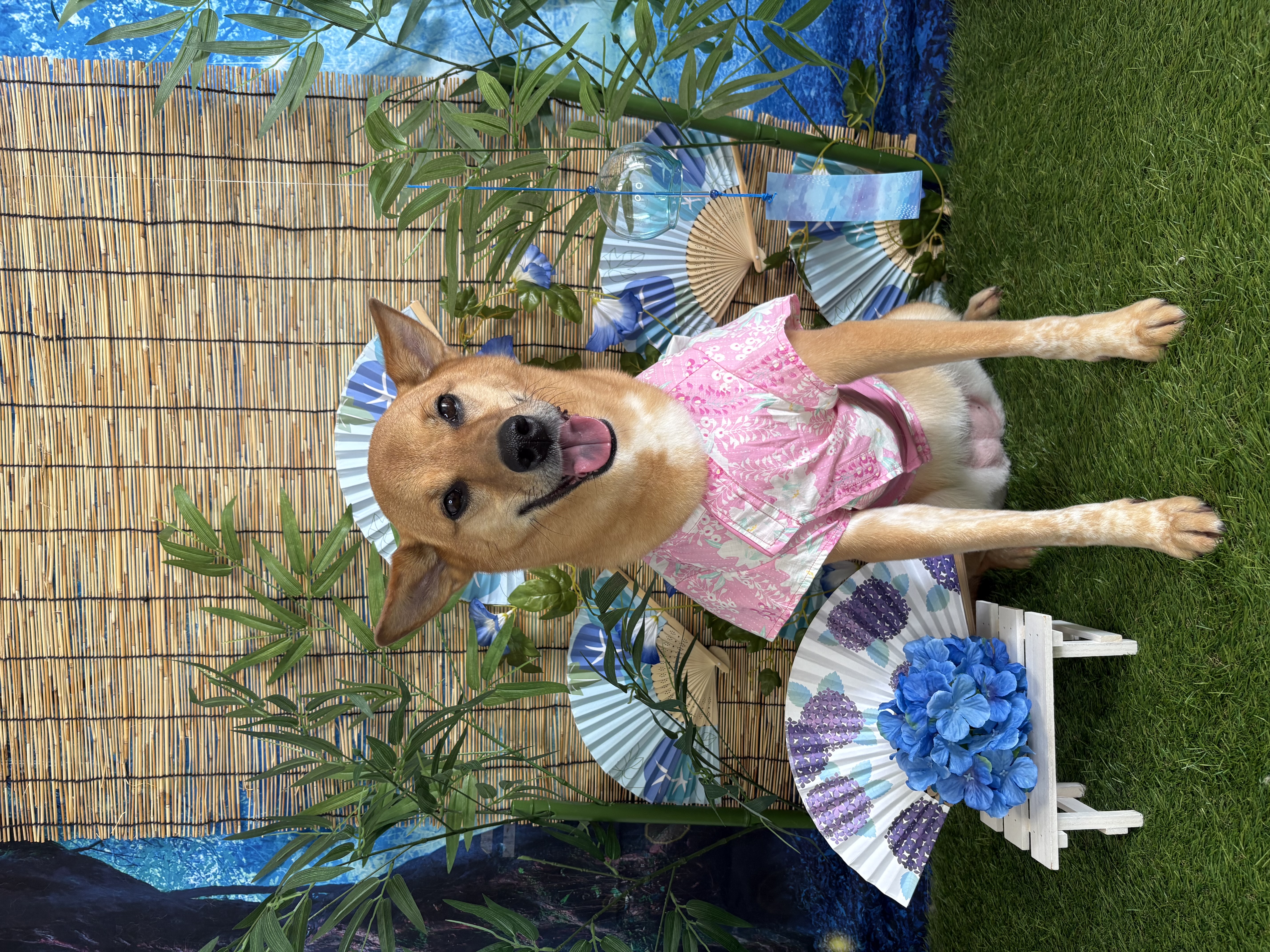 全身カットなし After 2