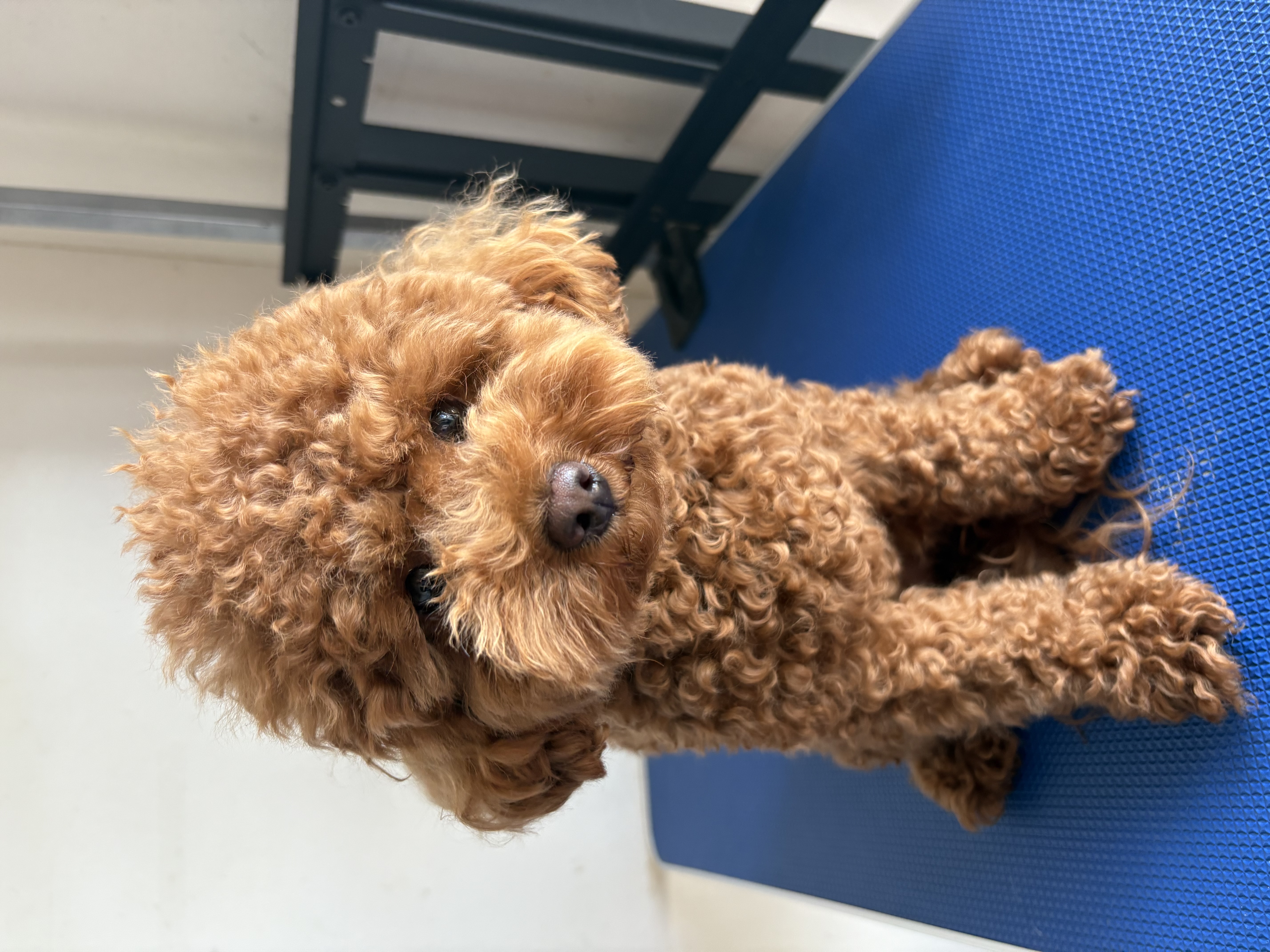 全身カットあり Before 1