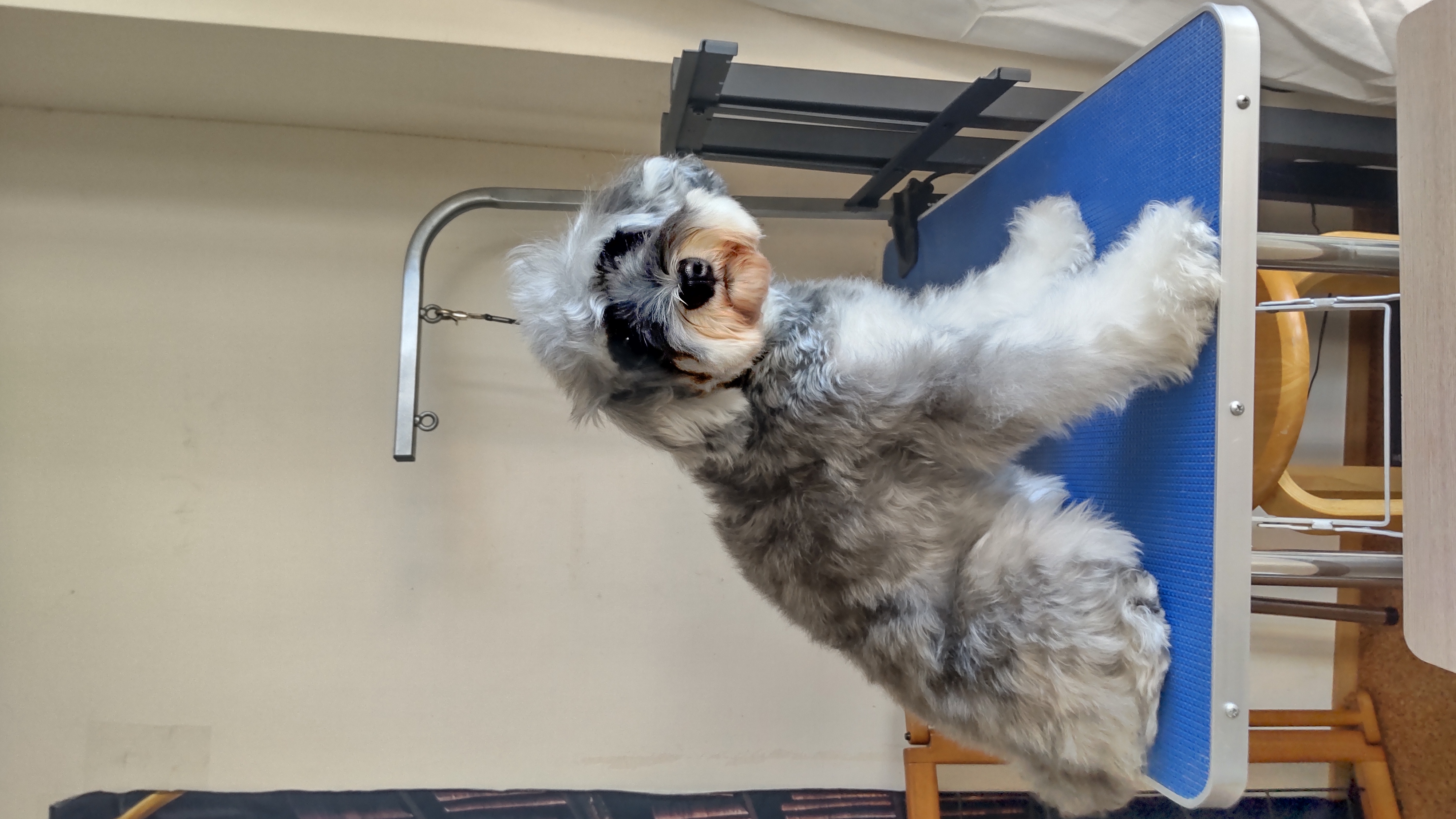 全身カットあり Before 2