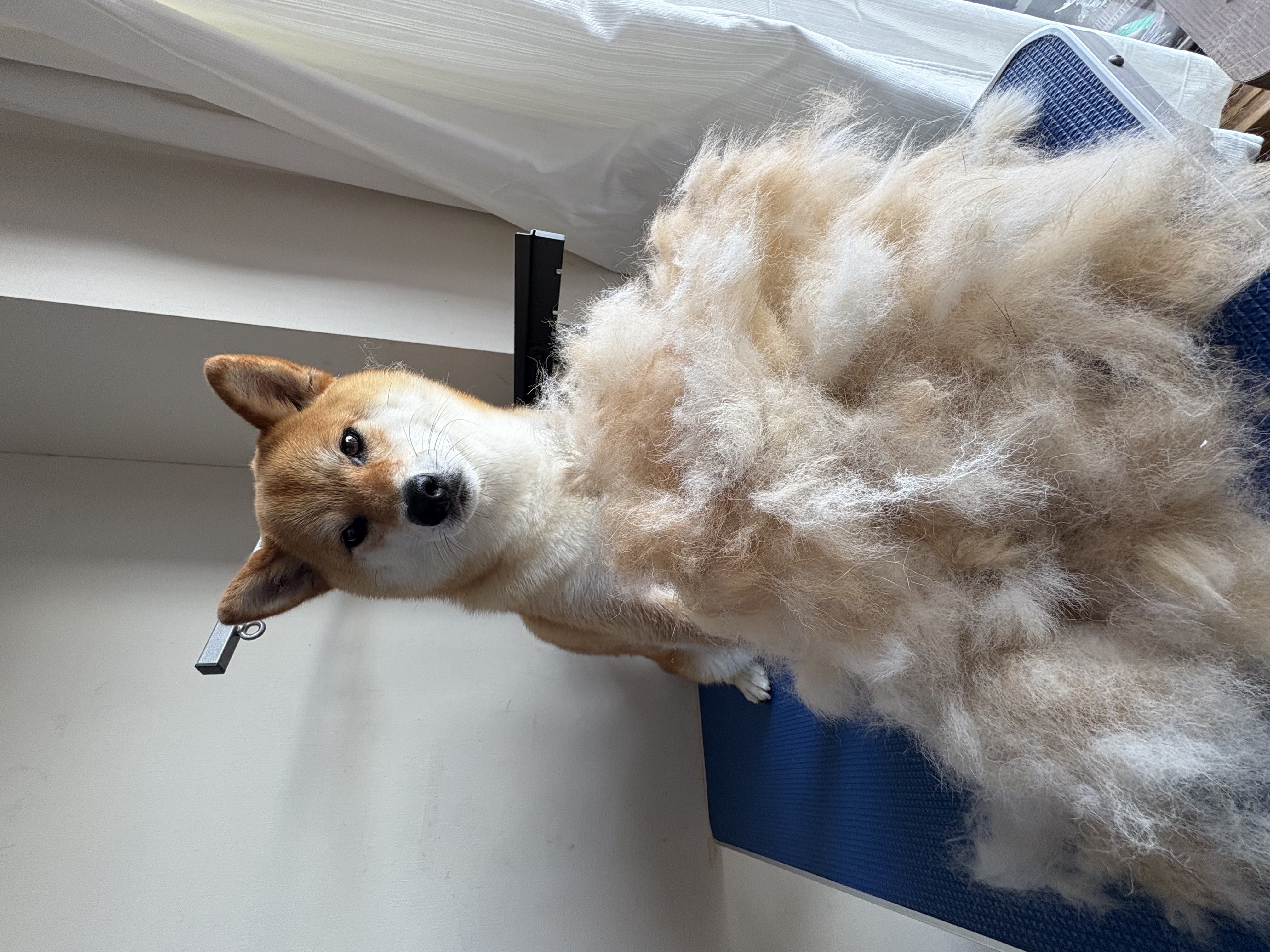 全身カットなし Before 1