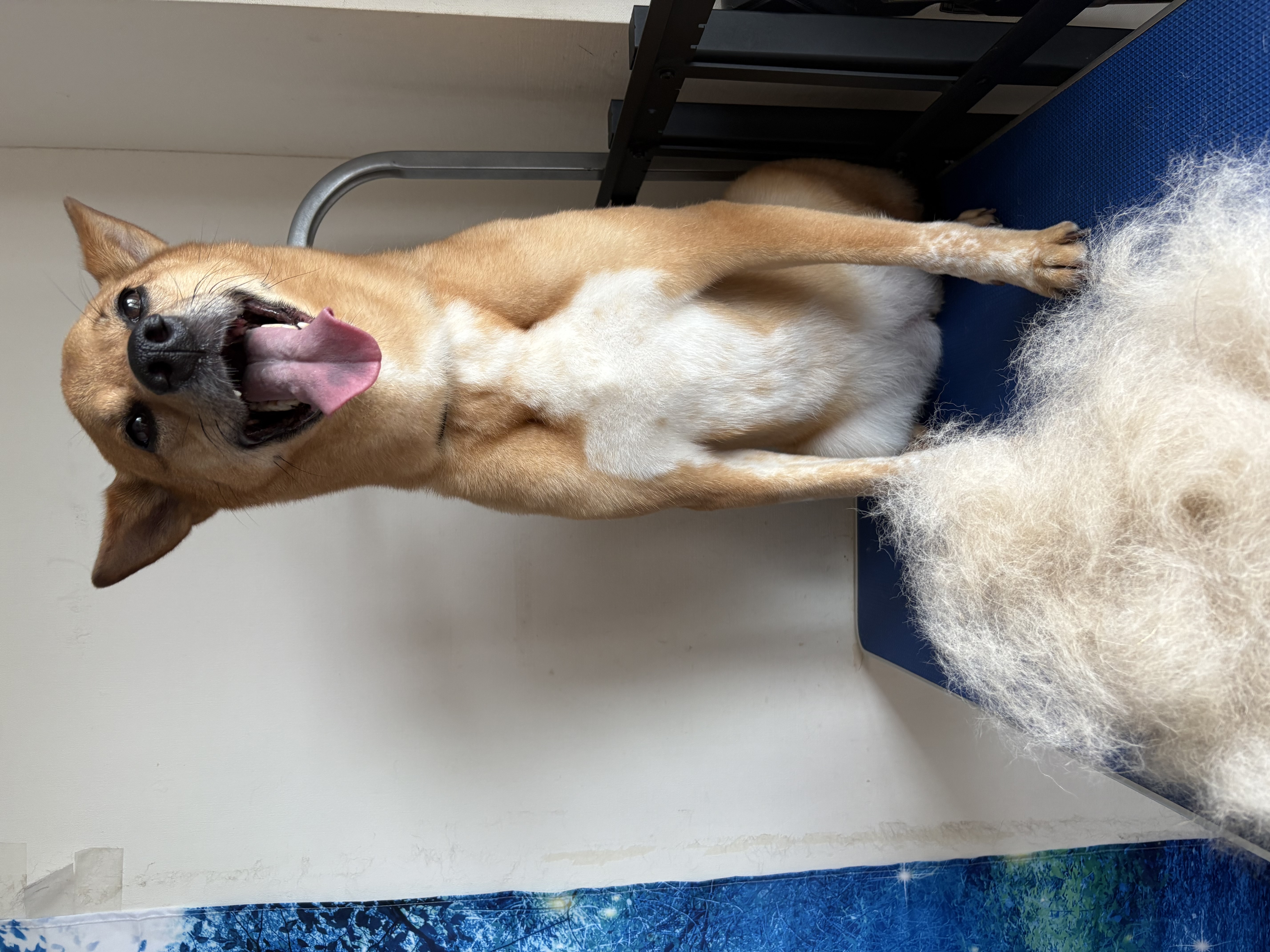 全身カットなし Before 2